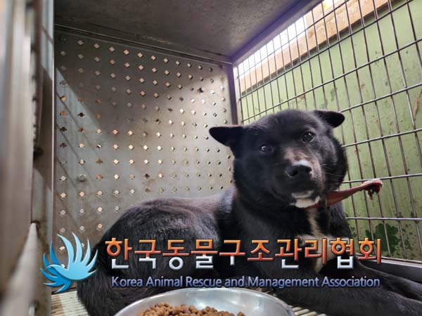 한국동물구조관리협회_441560202401453