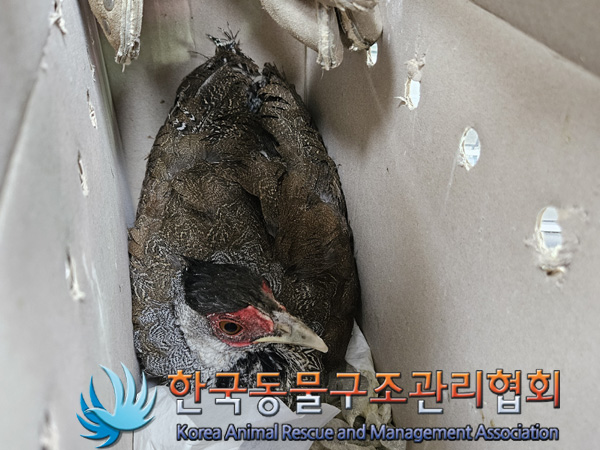 보호중 백한의 가족…