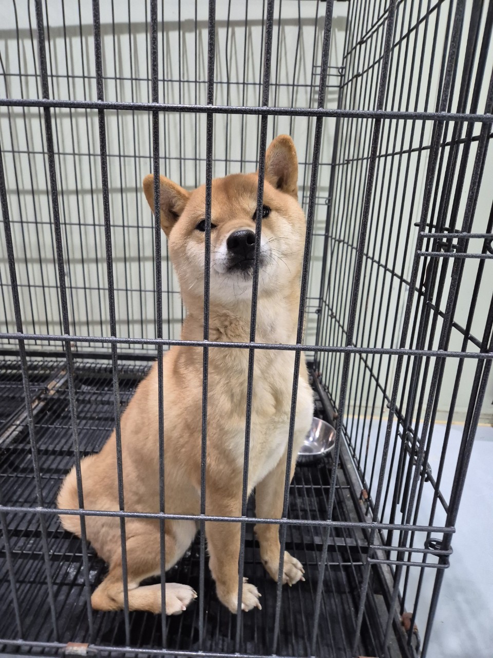 종료(반환) 시바의…