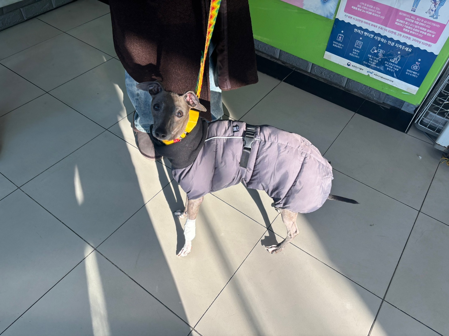 가정동물병원_428356202402080