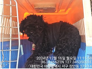 대전동물보호센터_430366202400848