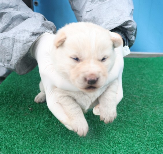 제주 동물보호센터_450650202403734