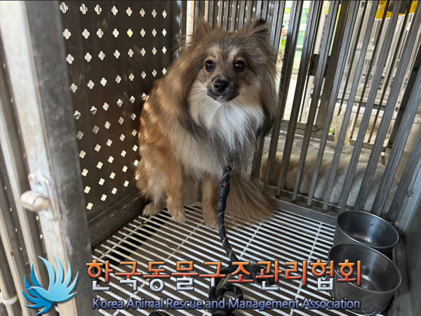 한국동물구조관리협회_441406202402236