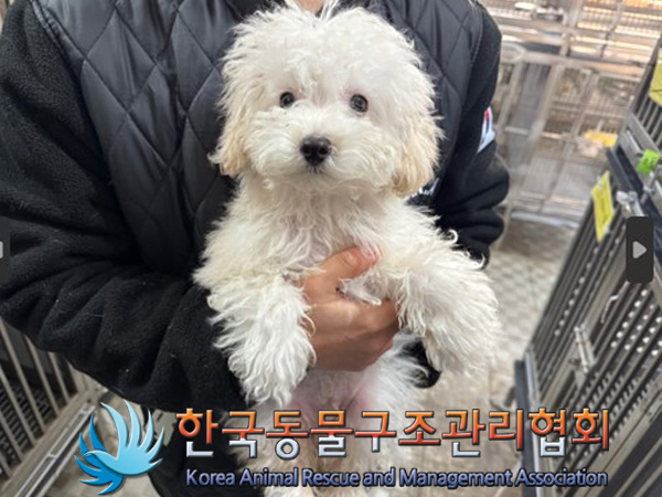 한국동물구조관리협회_411322202400941
