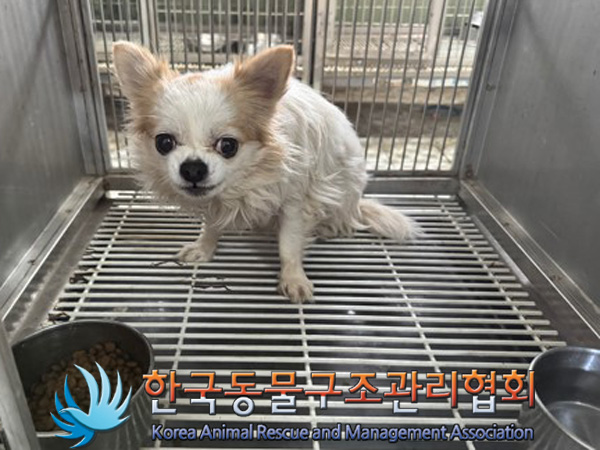 한국동물구조관리협회_441560202401456
