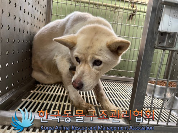 한국동물구조관리협회_441560202401455