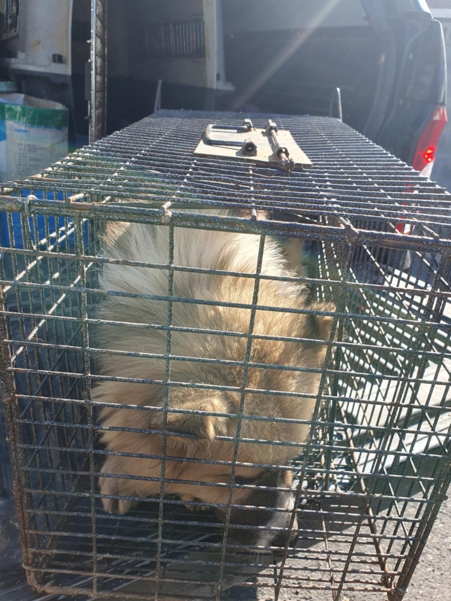 최종주동물병원_443444202400449