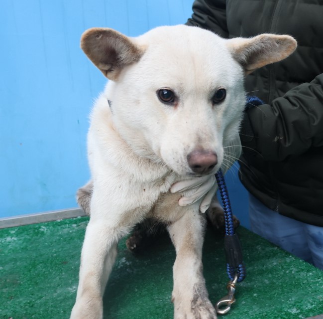 제주 동물보호센터_450650202403738