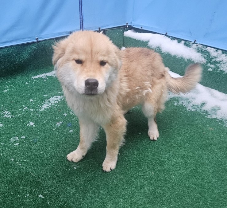 제주 동물보호센터_450650202403749