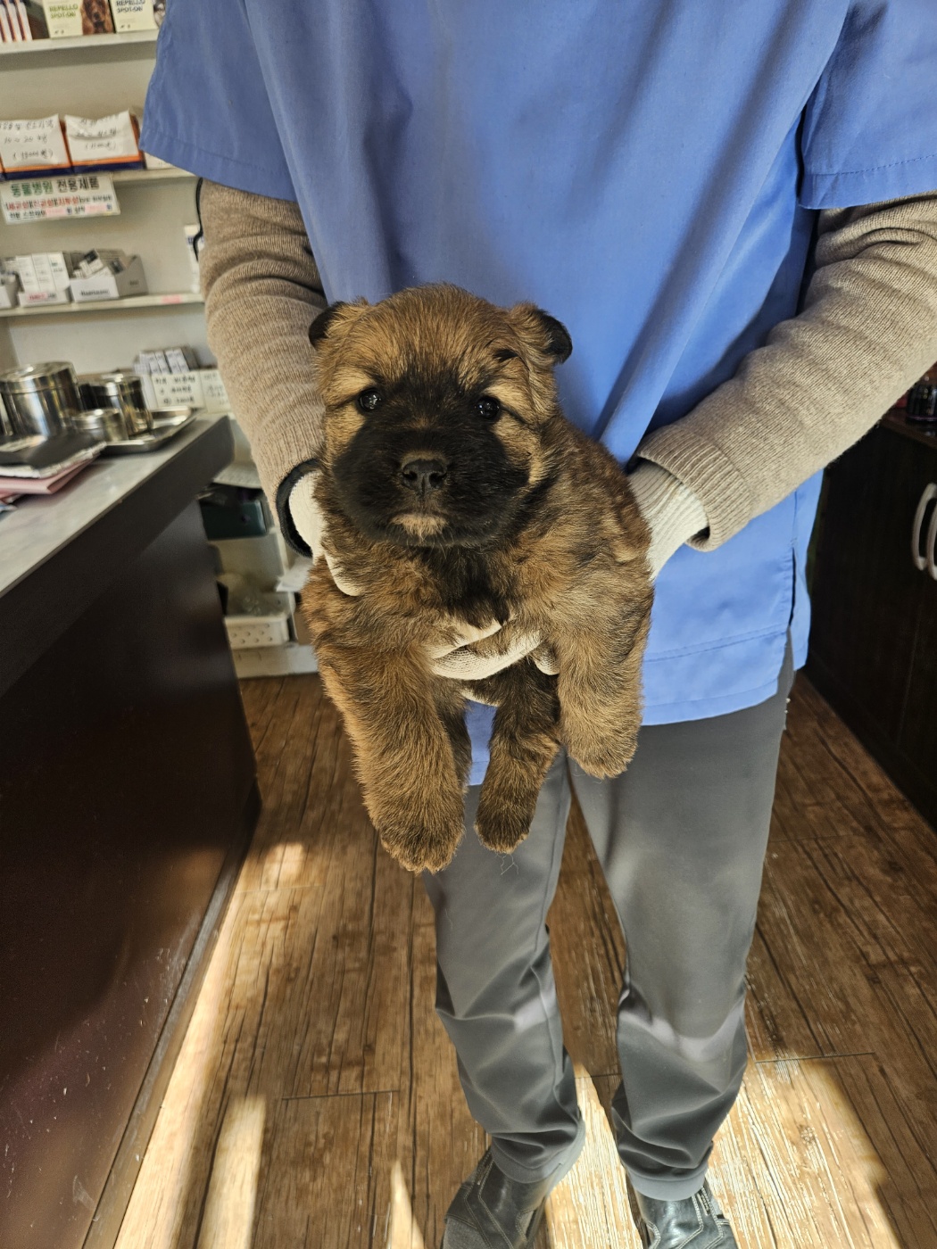 종료(안락사) 믹스…