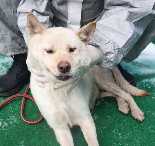 제주 동물보호센터_450650202403739