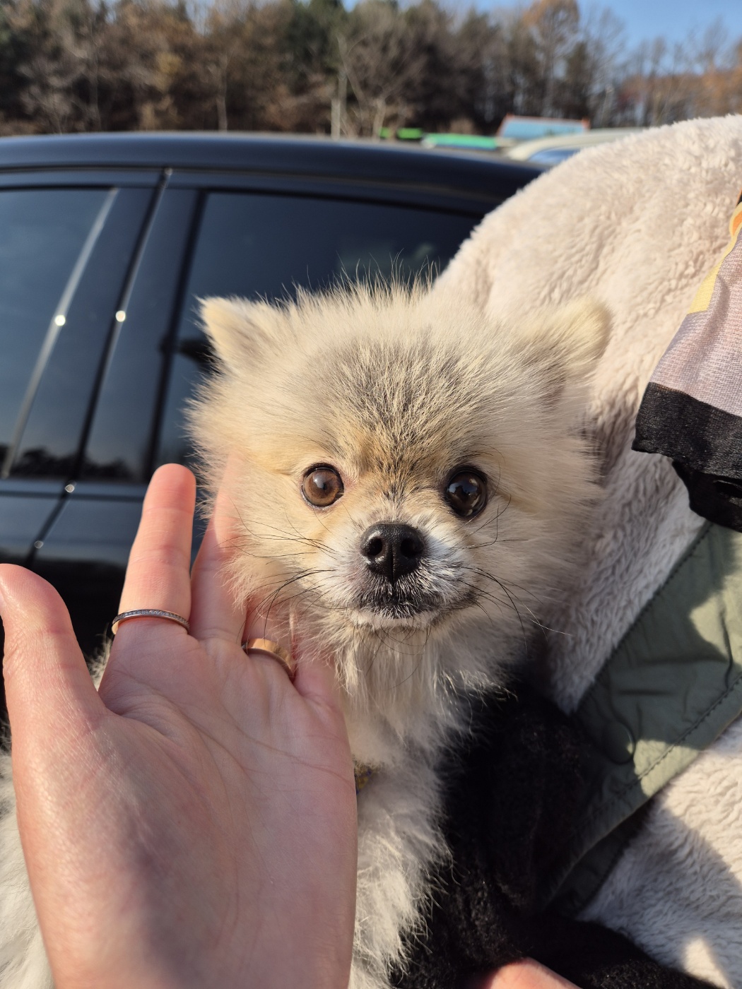남양동물보호센터_441553202404201