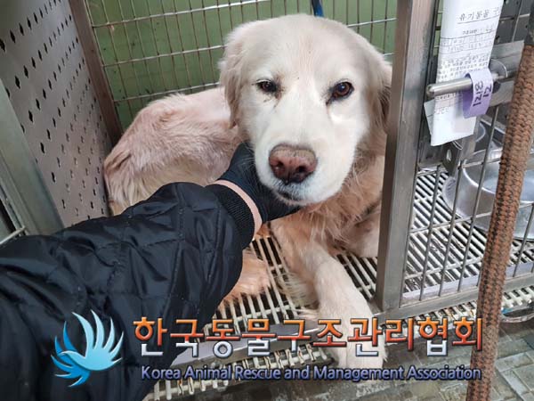 한국동물구조관리협회_441559202401443