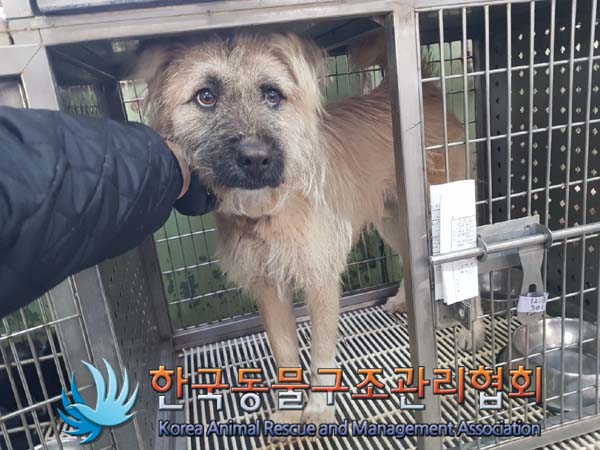 종료(안락사) 믹스…