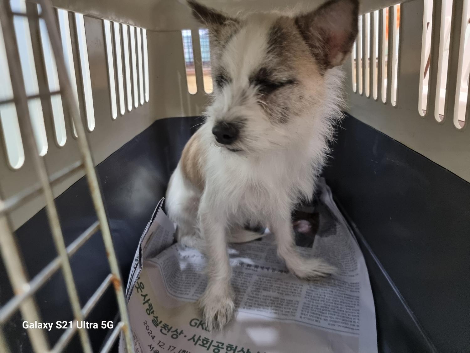 경동동물병원_428349202401144