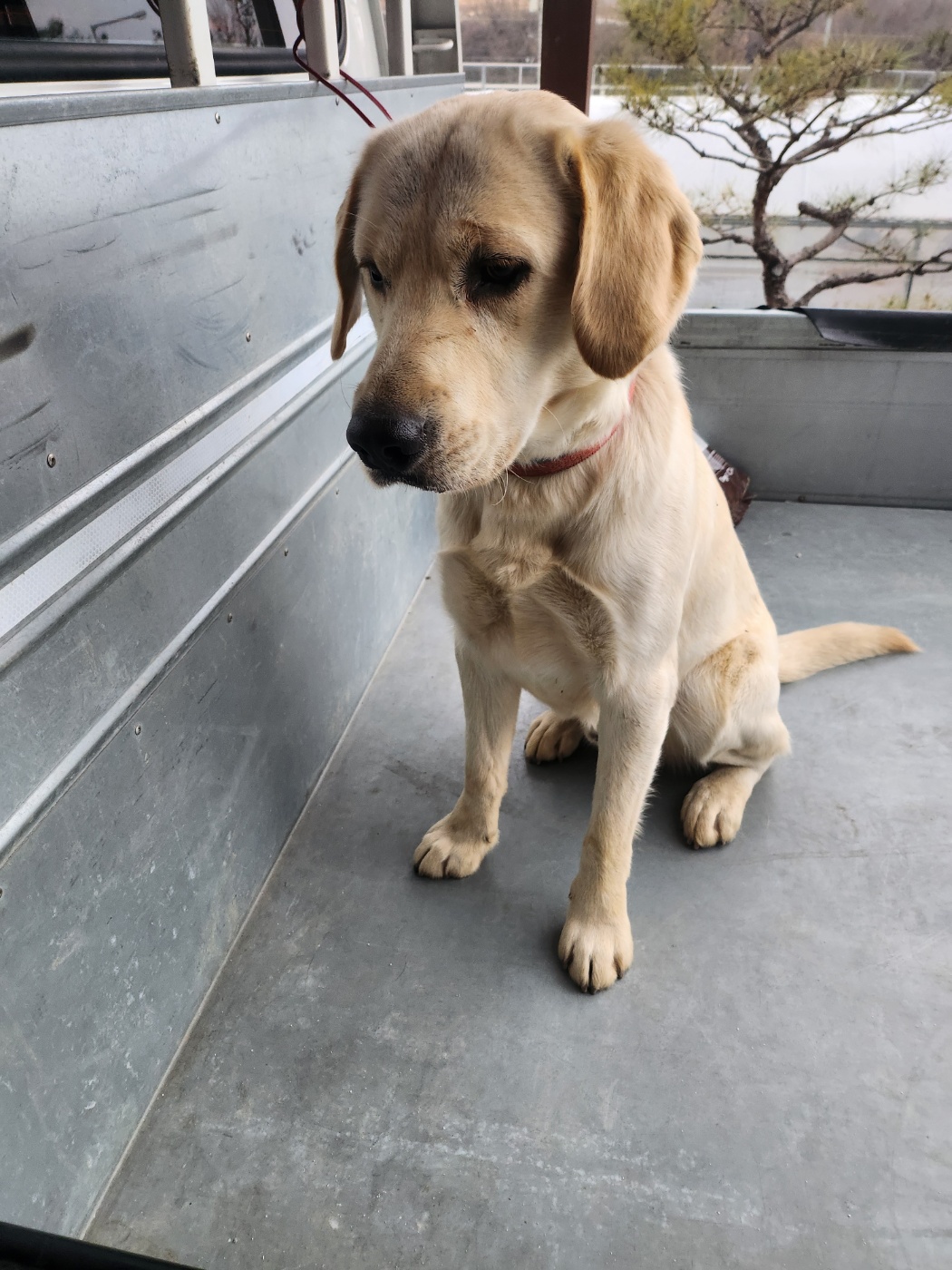 종료(반환) 라브라…