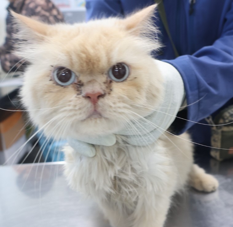 제주 동물보호센터_450650202403757