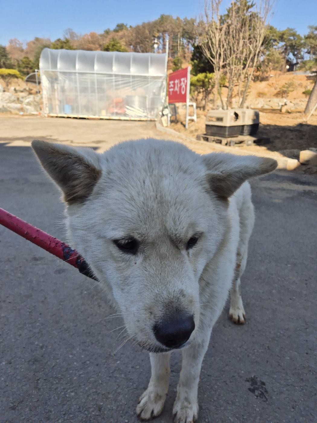 남양동물보호센터_441553202404210