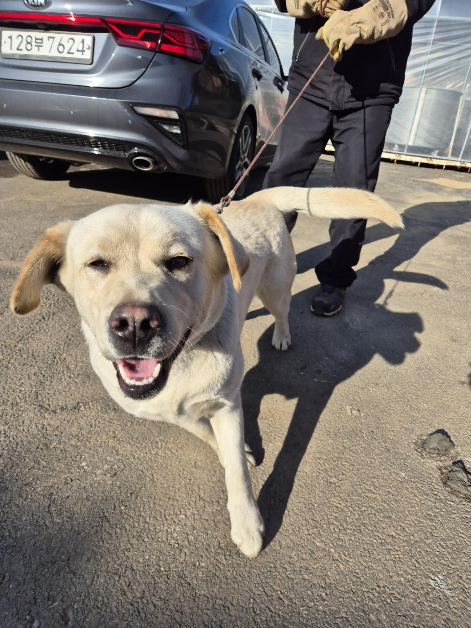 종료(기증) 라브라…