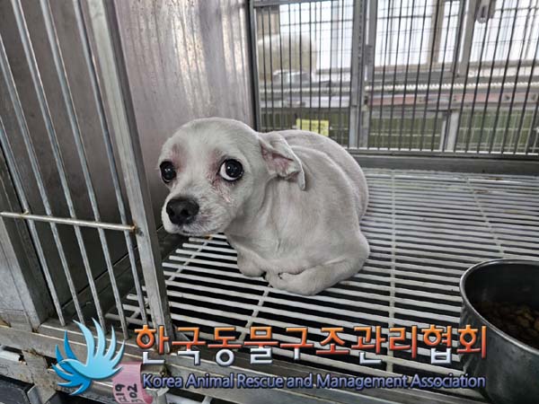 한국동물구조관리협회_441560202401462