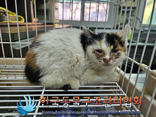 한국동물구조관리협회_411300202400649