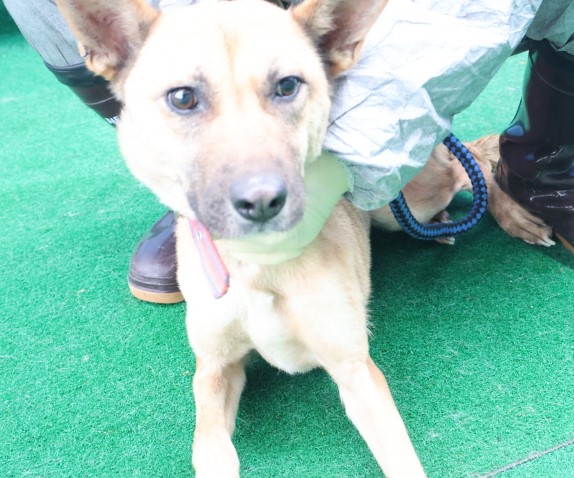 제주 동물보호센터_450650202403760
