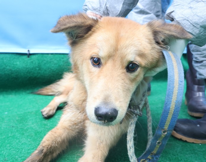 제주 동물보호센터_450650202403769
