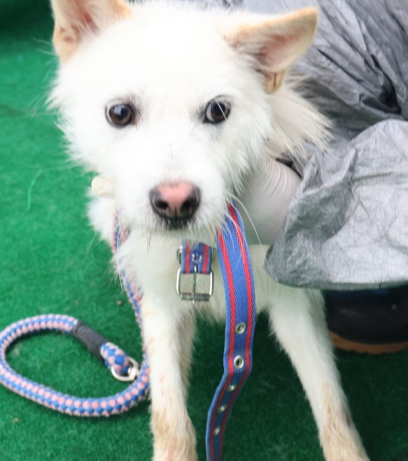 제주 동물보호센터_450650202403762