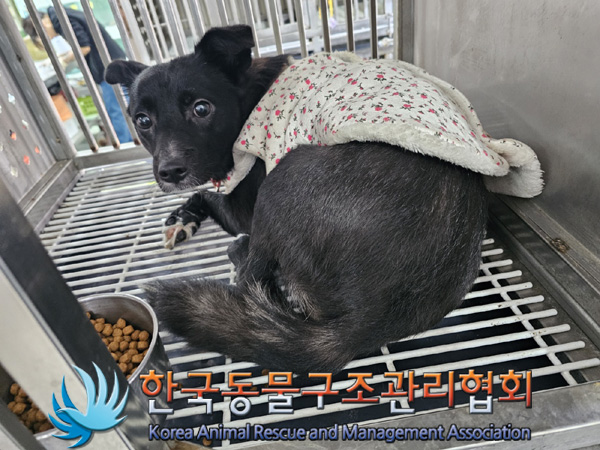 한국동물구조관리협회_411306202400871