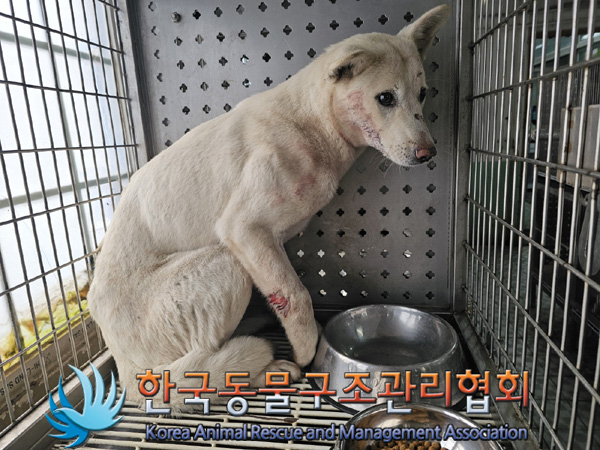 한국동물구조관리협회_441559202401450