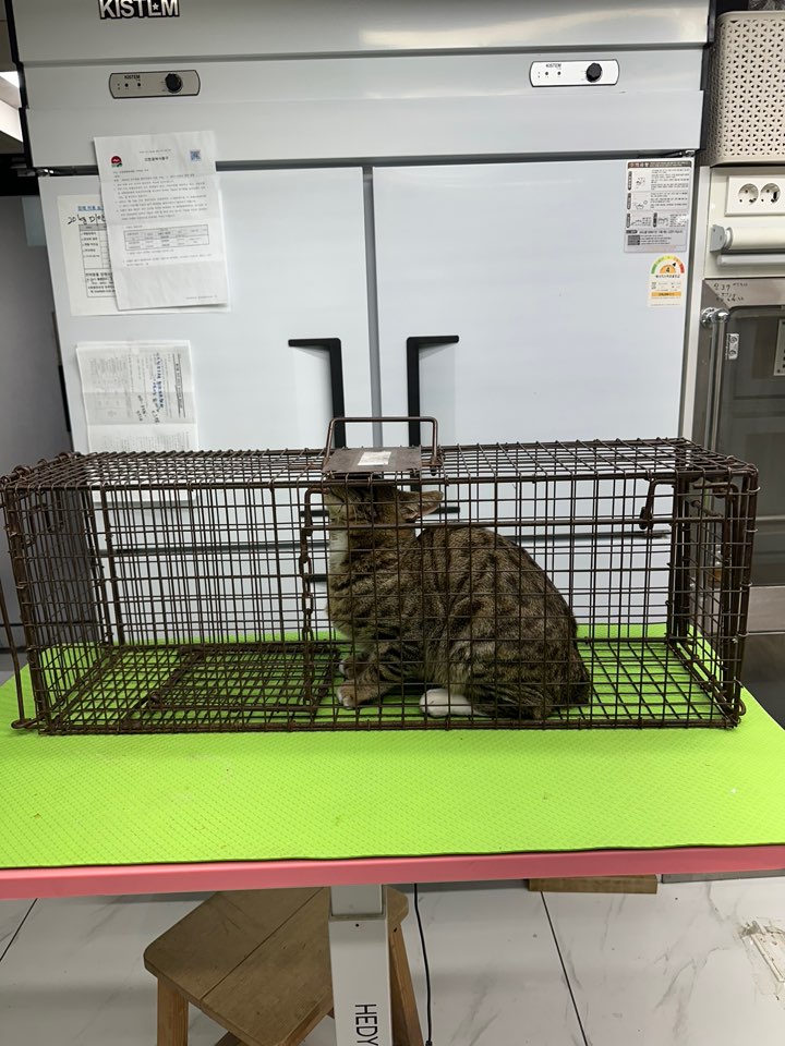 신공항동물병원_428349202401150