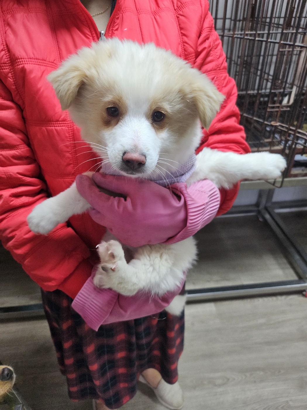 영광동물보호센터_446497202400580