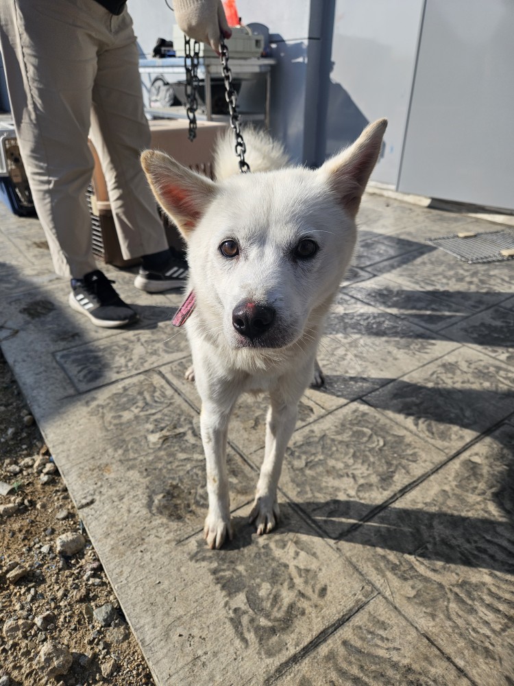 군위종합동물병원_427514202400673