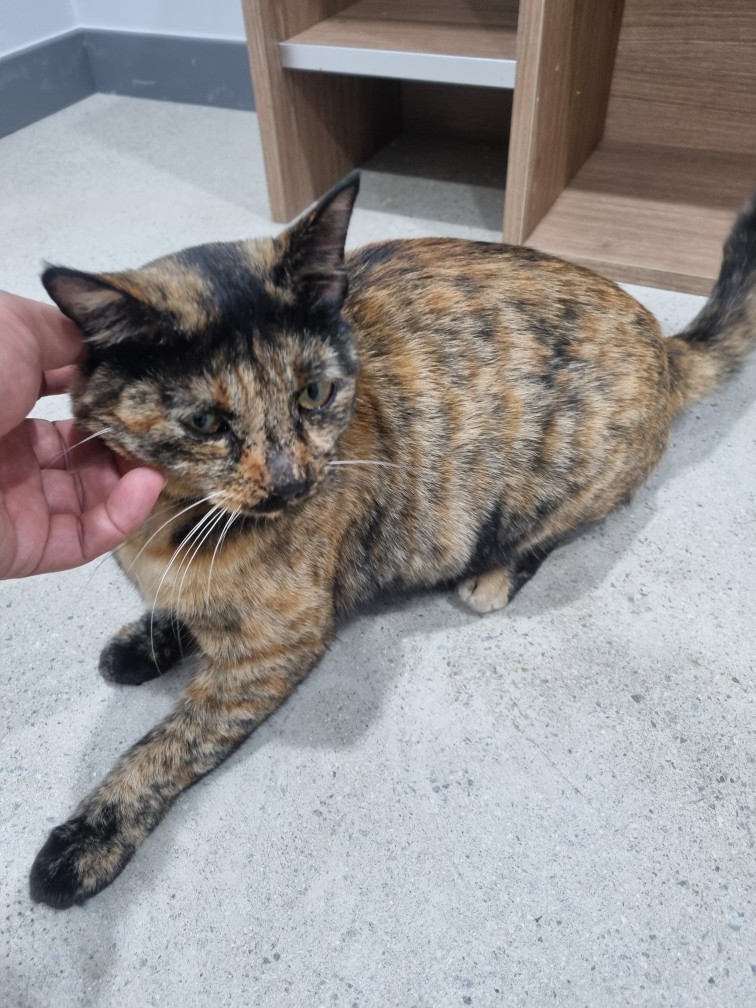 군위종합동물병원_427514202400674