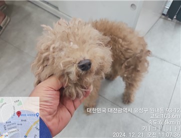 대전동물보호센터_430367202401056