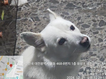 대전동물보호센터_430367202401055