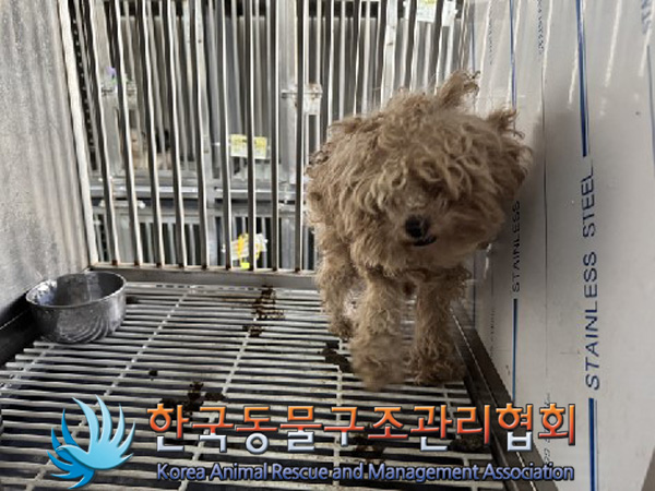 한국동물구조관리협회_411307202400733