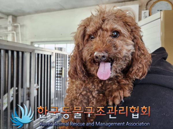 한국동물구조관리협회_441406202402245