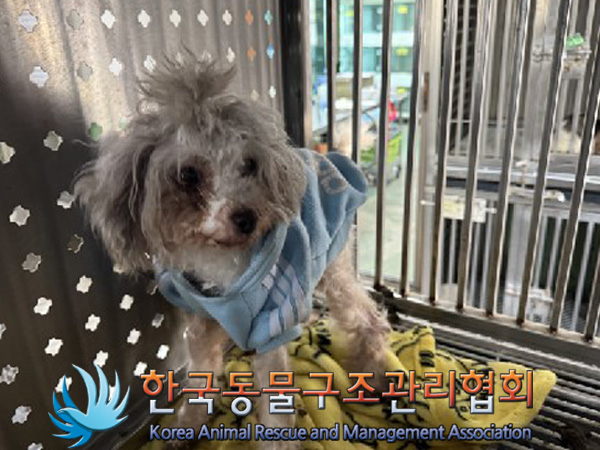 한국동물구조관리협회_411307202400732