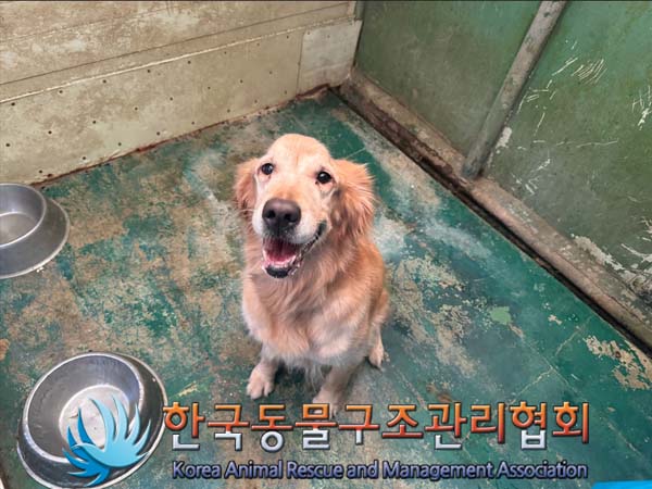 한국동물구조관리협회_441382202400864