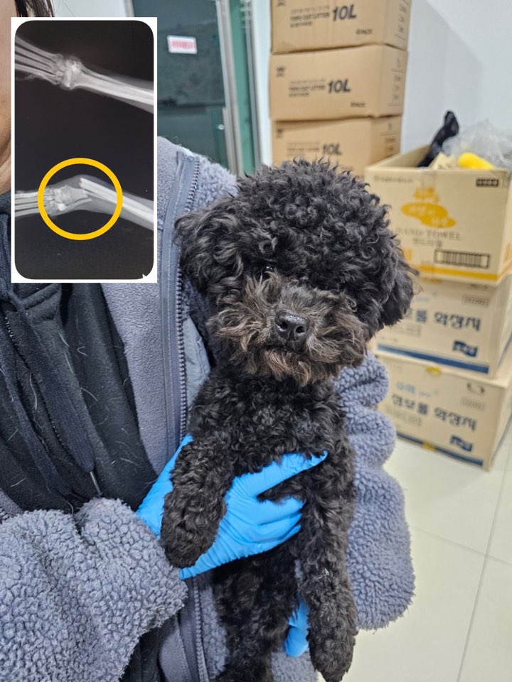 반려동물보호센터_443571202403332