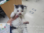 대전동물보호센터_430365202400612