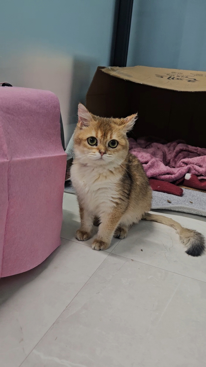 익산유기동물보호소_445468202403187