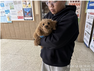 종료(반환) 푸들의…