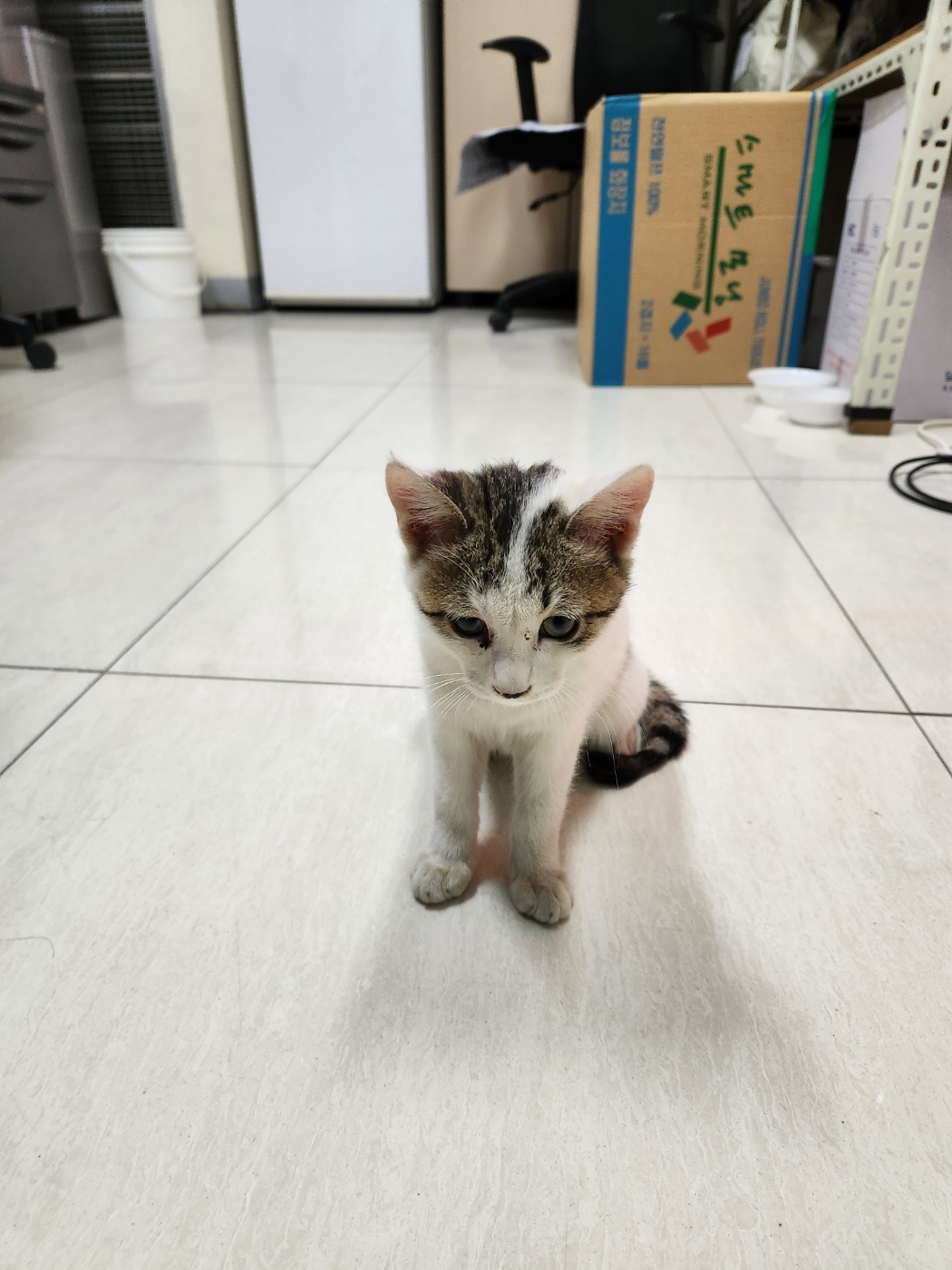 동구종합동물병원_426327202400648
