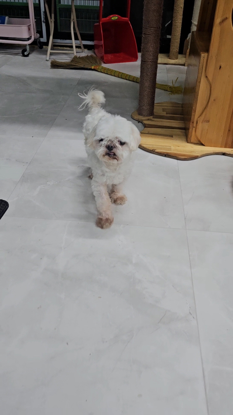 익산유기동물보호소_445468202403186