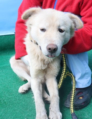 제주 동물보호센터_450650202403772