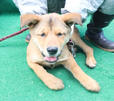 제주 동물보호센터_450650202403771