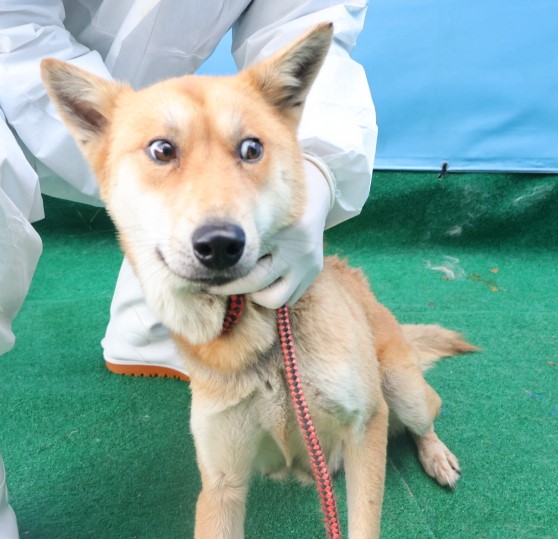 제주 동물보호센터_450650202403777