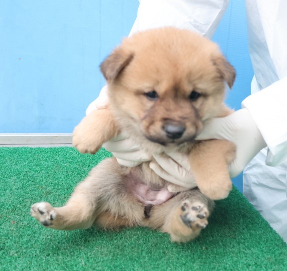 제주 동물보호센터_450650202403779